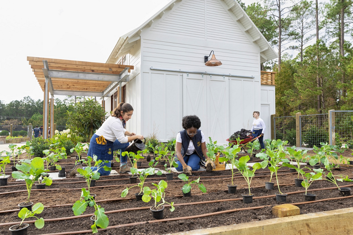Berkebun sebagai Peluang Bisnis yang Menguntungkan: Menghijaukan Rupiah dengan Kreativitas dan Inovasi
