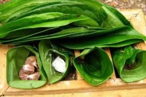 Budaya Kuliner Nusantara: Lebih dari Sekadar Cita Rasa