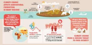 Dampak Perubahan Iklim pada Pertanian: Tantangan Global dan Strategi Adaptasi