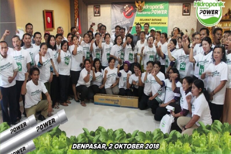 Hidroponik: Solusi Pertanian Berkelanjutan untuk Masa Depan yang Lebih Hijau