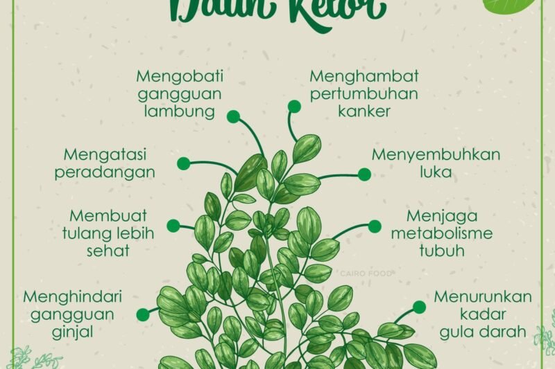 Lompat Tali: Senjata Rahasia untuk Membakar Lemak dan Meraih Tubuh Ideal