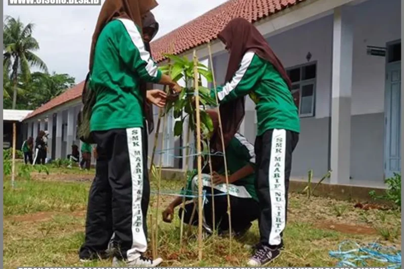 Peran Olahraga dalam Kampanye Lingkungan: Membangun Kesadaran dan Aksi Nyata