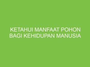 Pohon: Pilar Kehidupan dan Penjaga Bumi