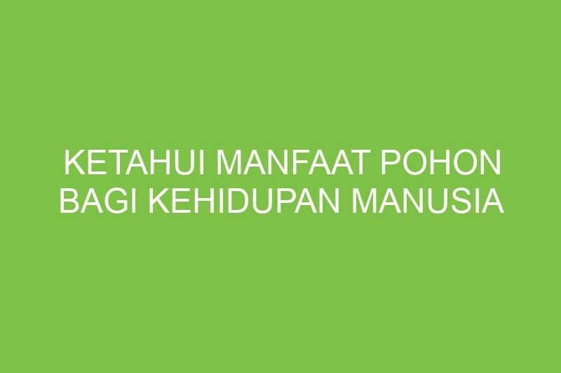 Pohon: Pilar Kehidupan dan Penjaga Bumi