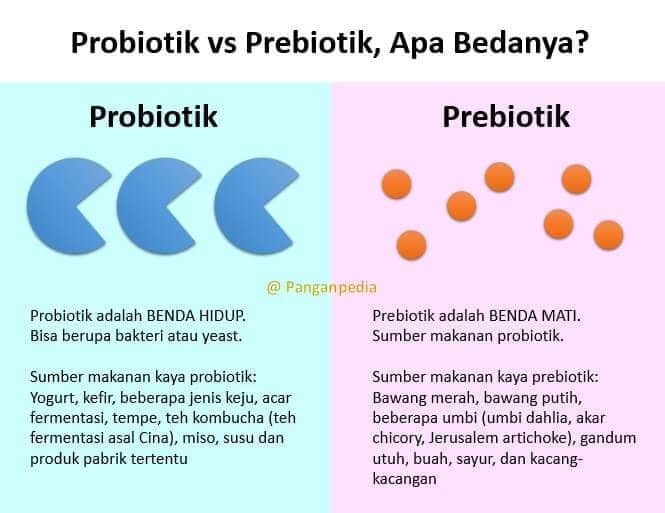 Probiotik vs. Prebiotik: Memahami Perbedaan untuk Kesehatan Usus yang Optimal