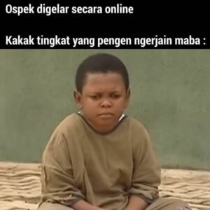 Dari Obrolan Grup ke Puncak Popularitas: Fenomena Game Meme yang Menaklukkan Internet