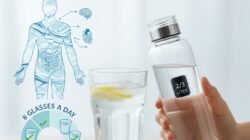 Pentingnya Hidrasi Bagi Tubuh dan Cara Memenuhi Kebutuhan Air Minum Setiap Hari Secara Rutin