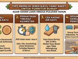 Tips Memilih Jenis Kayu yang Awet Untuk Furnitur Rumah Agar Tahan Lama Hingga Puluhan Tahun